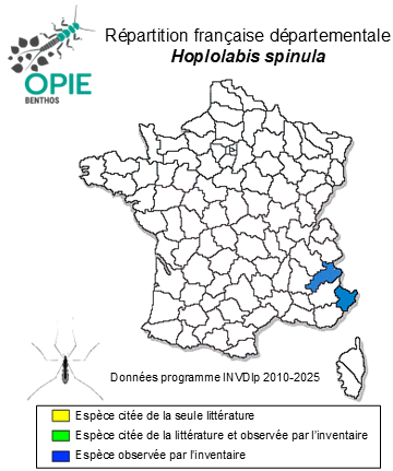 Carte de distribution de Hoplolabis spinula (Mendl, 1973)