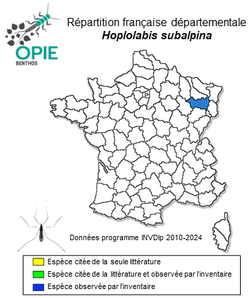 Carte de distribution de Hoplolabis subalpina (Bangerter, 1947)