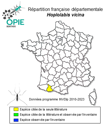 Carte de distribution de Hoplolabis vicina (Tonnoir, 1920)