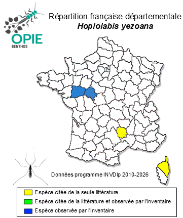 Carte de distribution de Hoplolabis yezoana (Alexander, 1924)