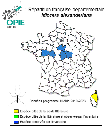 Carte de distribution de Idiocera alexanderiana (Lackschewitz, 1940)