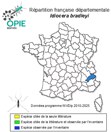 Carte de distribution de Idiocera bradleyi (Edwards, 1939)