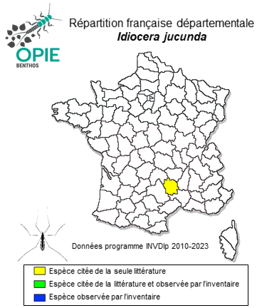 Carte de distribution de Idiocera jucunda (Loew, 1873)