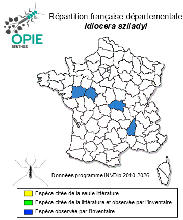 Carte de distribution de Idiocera sziladyi (Lackschewitz, 1940)