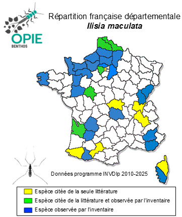 Carte de distribution de Ilisia maculata (Meigen, 1804)