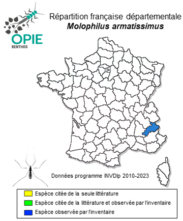 Carte de distribution de Molophilus armatissimus Bangerter, 1947