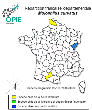 Carte de distribution de Molophilus curvatus Tonnoir, 1920