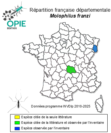 Carte de distribution de Molophilus franzi Caspers, 1980