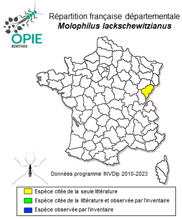 Carte de distribution de Molophilus lackschewitzianus Alexander, 1953