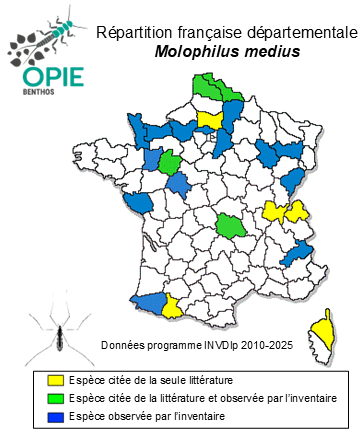 Carte de distribution de Molophilus medius de Meijere, 1918