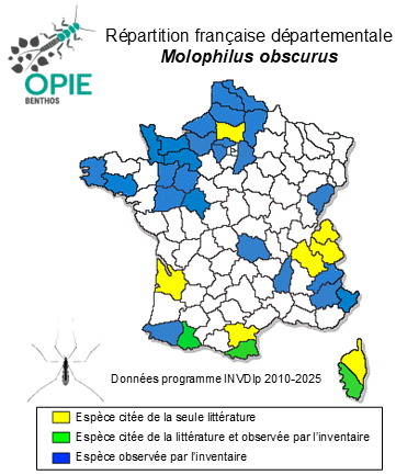 Carte de distribution de Molophilus obscurus (Meigen, 1818)