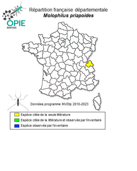 Carte de distribution de Molophilus priapoides Starý, 1971