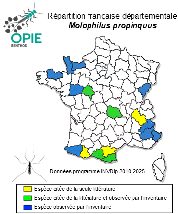 Carte de distribution de Molophilus propinquus (Egger, 1863)