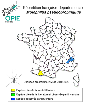 Carte de distribution de Molophilus pseudopropinquus Mendl, 1973