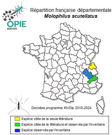 Carte de distribution de Molophilus scutellatus Goetghebuer, 1929