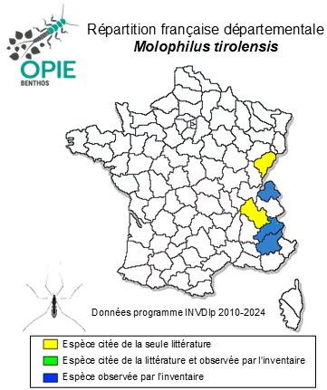 Carte de distribution de Molophilus tirolensis Hancock, 2005