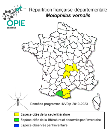 Carte de distribution de Molophilus vernalis Brunhes & Geiger, 1992
