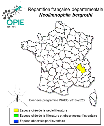 Carte de distribution de Neolimnophila bergrothi (Kuntze, 1919)