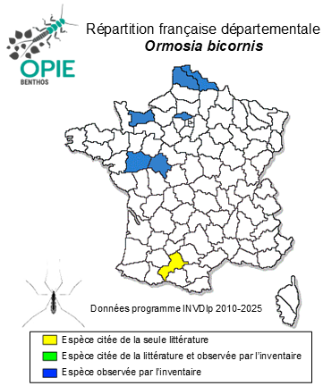 Carte de distribution de Ormosia bicornis (de Meijere, 1920)