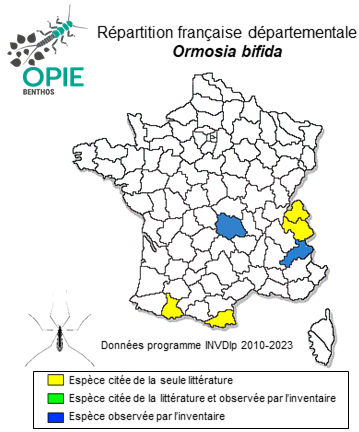 Carte de distribution de Ormosia bifida (Lackschewitz, 1940)