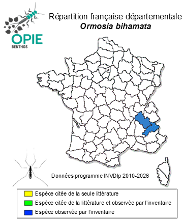 Carte de distribution de Ormosia bihamata Lackschewitz, 1935