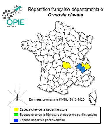 Carte de distribution de Ormosia clavata (Tonnoir, 1920)