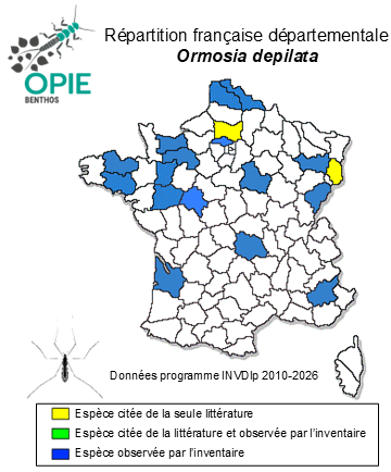 Carte de distribution de Ormosia depilata Edwards, 1938
