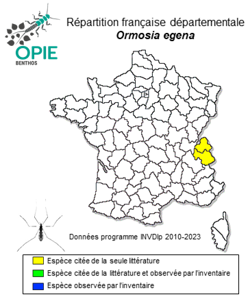 Carte de distribution de Ormosia egena (Bergroth, 1891)