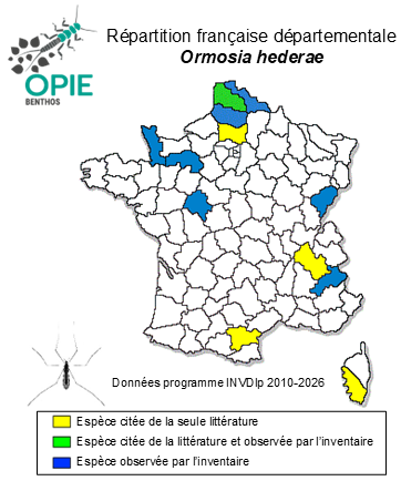 Carte de distribution de Ormosia hederae (Curtis, 1835)