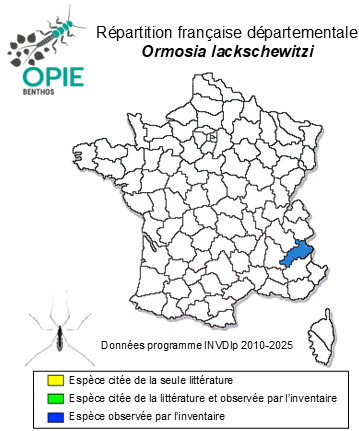 Carte de distribution de Ormosia lackschewitzi Bangerter, 1947