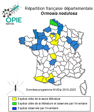 Carte de distribution de Ormosia nodulosa (Macquart, 1826)