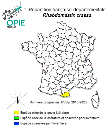 Carte de distribution de Rhabdomastix crassa Starý, 2004