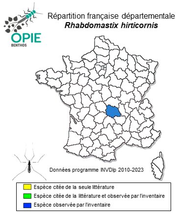 Carte de distribution de Rhabdomastix hirticornis (Lackschewitz, 1940)
