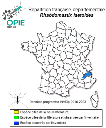 Carte de distribution de Rhabdomastix laetoidea Starý, 2004