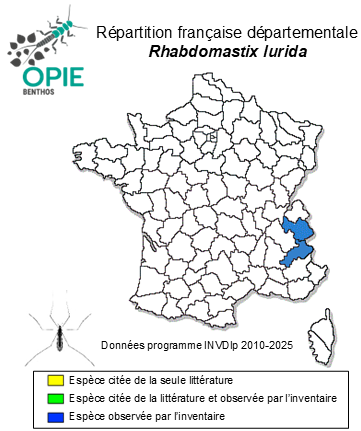 Carte de distribution de Rhabdomastix lurida (Loew, 1873)