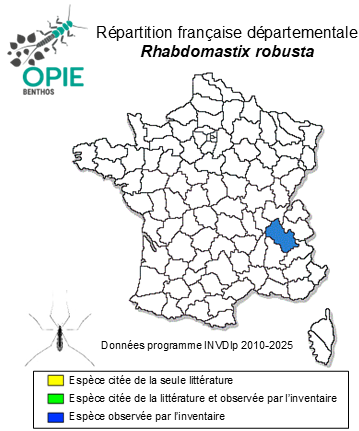 Carte de distribution de Rhabdomastix robusta Starý, 2003