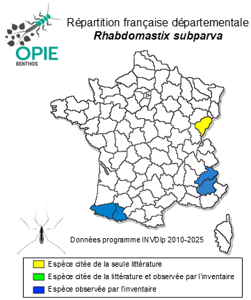 Carte de distribution de Rhabdomastix subparva Starý, 1971