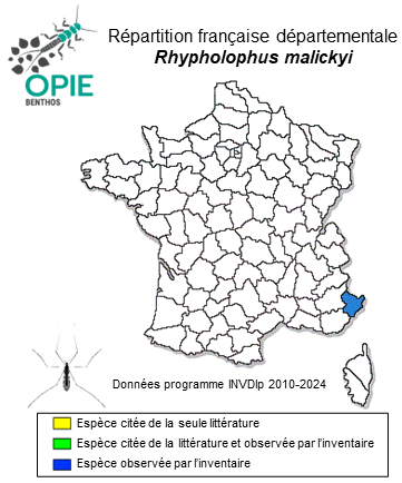 Carte de distribution de Rhypholophus malickyi (Mendl, 1975)