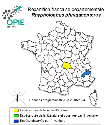 Carte de distribution de Rhypholophus phryganopterus Kolenati, 1860