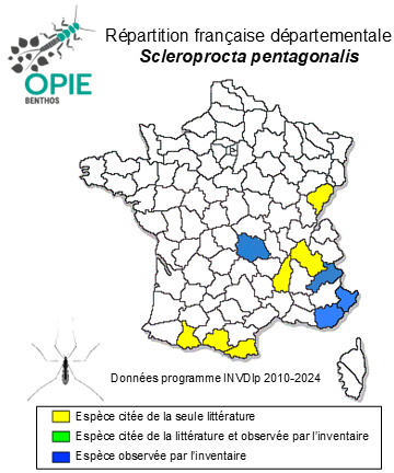 Carte de distribution de Scleroprocta pentagonalis  (Loew, 1873)