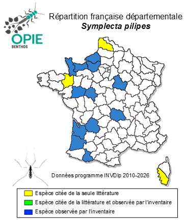Carte de distribution de Symplecta pilipes (Fabricius, 1787)