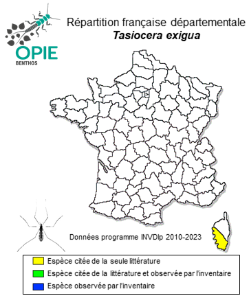 Carte de distribution de Tasiocera exigua Savchenko, 1973