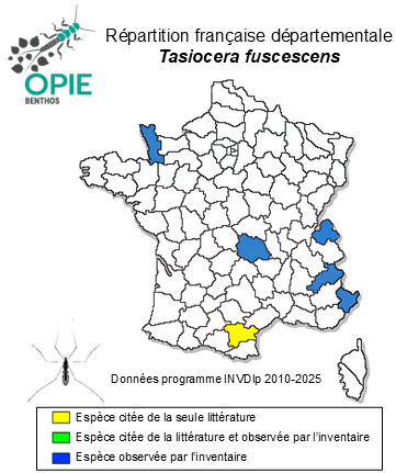 Carte de distribution de Tasiocera fuscescens (Lackschewitz, 1940)