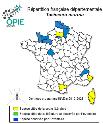 Carte de distribution de Tasiocera murina (Meigen, 1818)