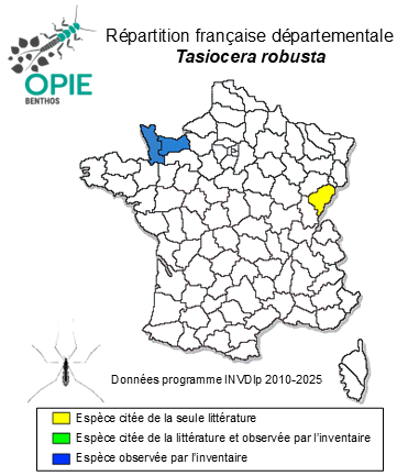 Carte de distribution de Tasiocera robusta (Bangerter, 1947)