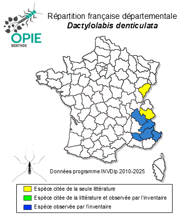 Carte de distribution de Dactylolabis denticulata (Bergroth, 1891)
