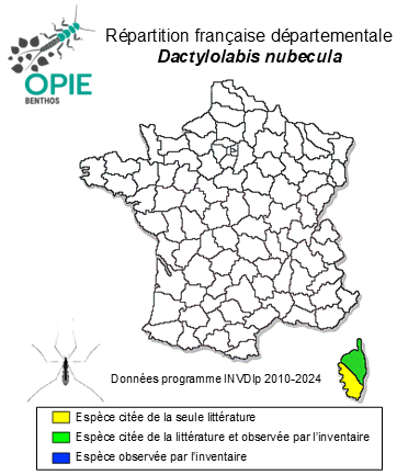 Carte de distribution de Dactylolabis nubecula Kuntze, 1913