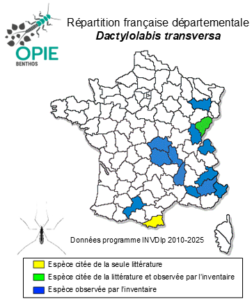 Carte de distribution de Dactylolabis transversa (Meigen, 1804)