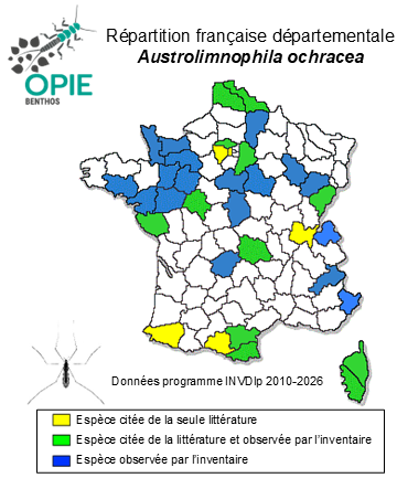 Carte de distribution de Austrolimnophila ochracea (Meigen, 1804)