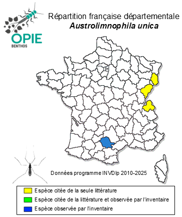 Carte de distribution de Austrolimnophila unica (Osten Sacken, 1869)